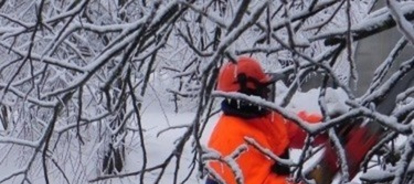 Intervencije ob februarskem žledenju