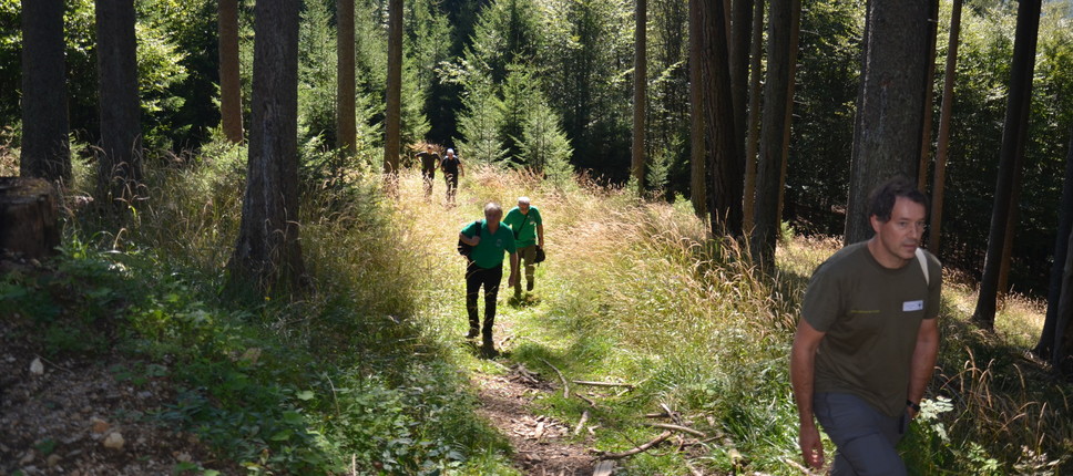 Slika 10: Ekskurzija v gozdovih v okolici Mislinje