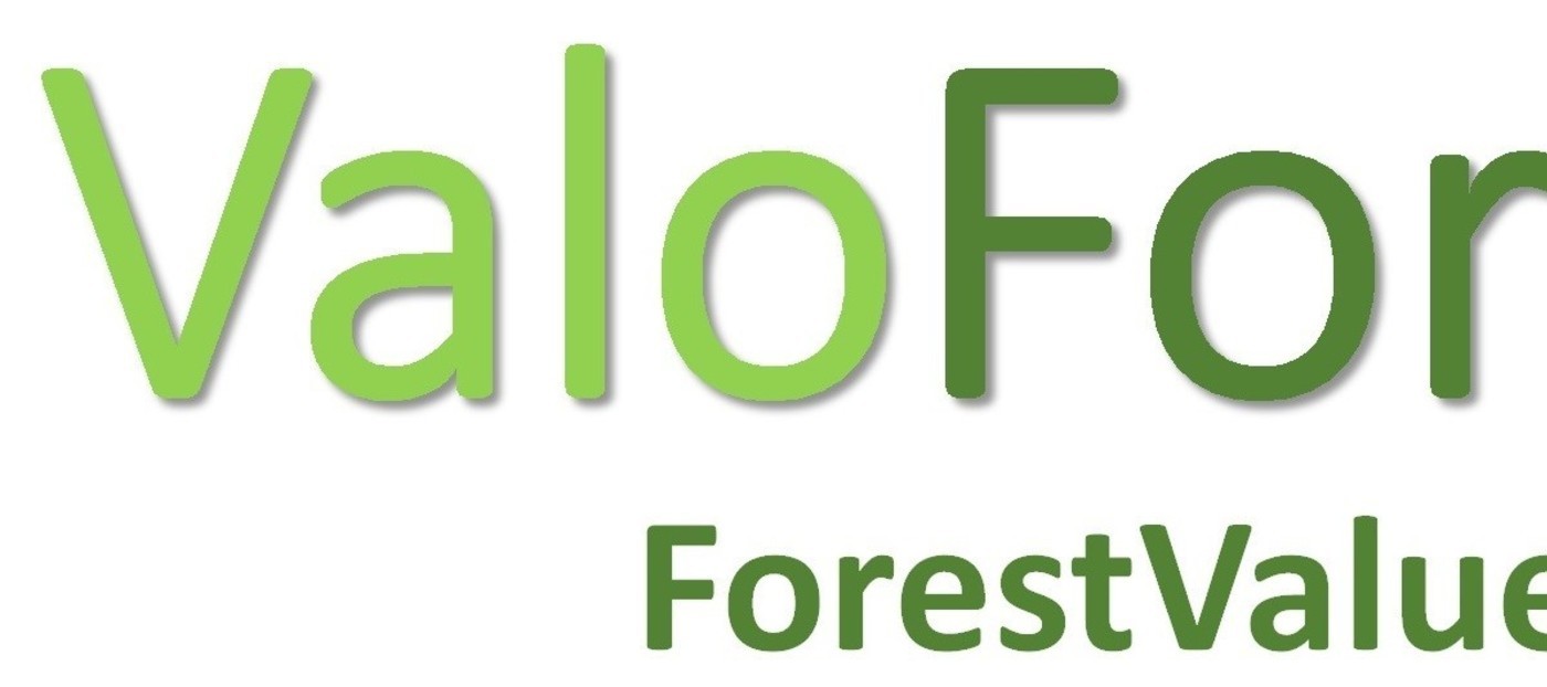 Spletna anketa projekta valofor za zasebne lastnike gozdov