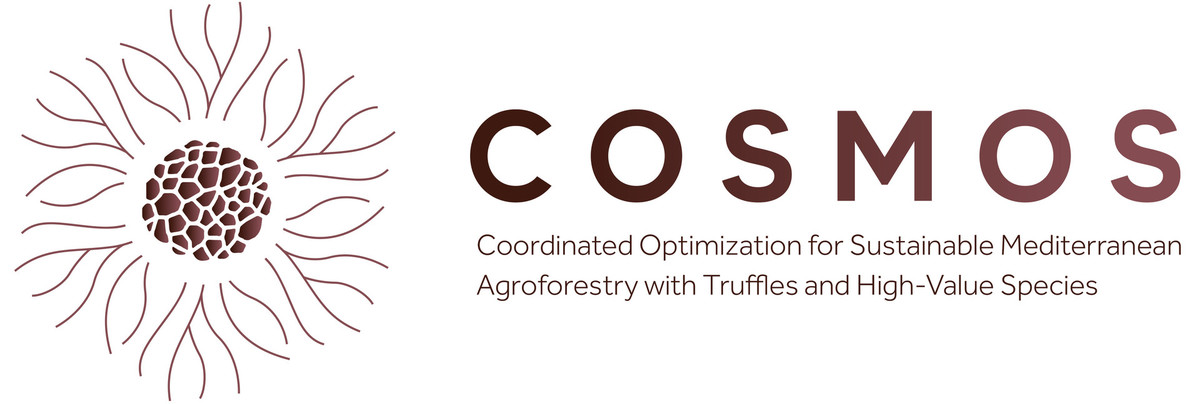 COSMOS - Usklajeno upravljanje za trajnostne kmetijsko-gozdarske sisteme s tartufi in visokovrednimi vrstami v Sredozemlju