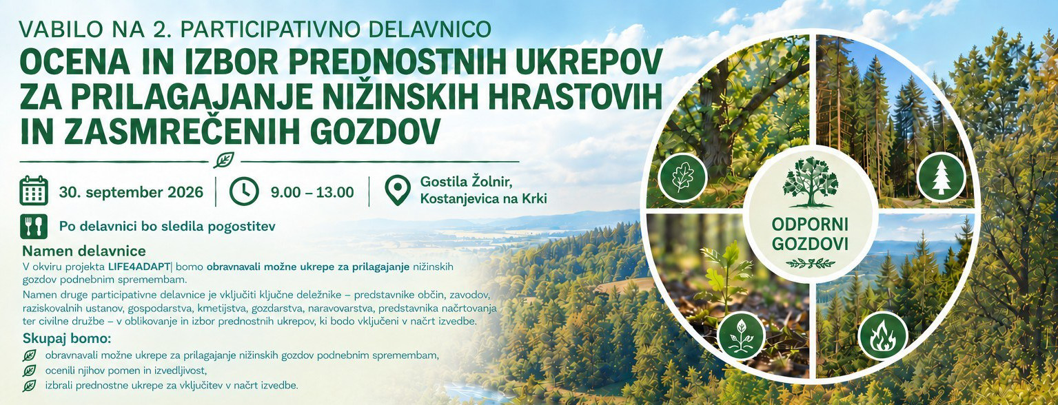 Ocena in izbor prednostnih ukrepov za prilagajanje nižinskih hrastovih in zasmrečenih gozdov