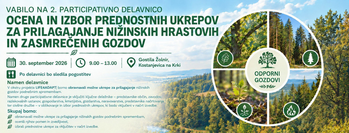 Ocena in izbor prednostnih ukrepov za prilagajanje nižinskih hrastovih in zasmrečenih gozdov