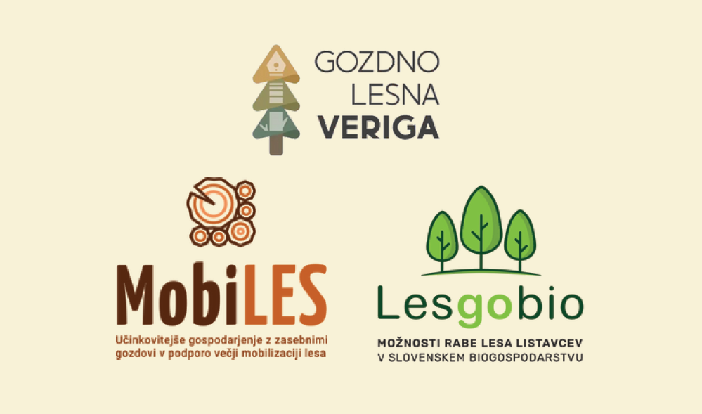Gozdno lesne verige za slovensko biogospodarstvo