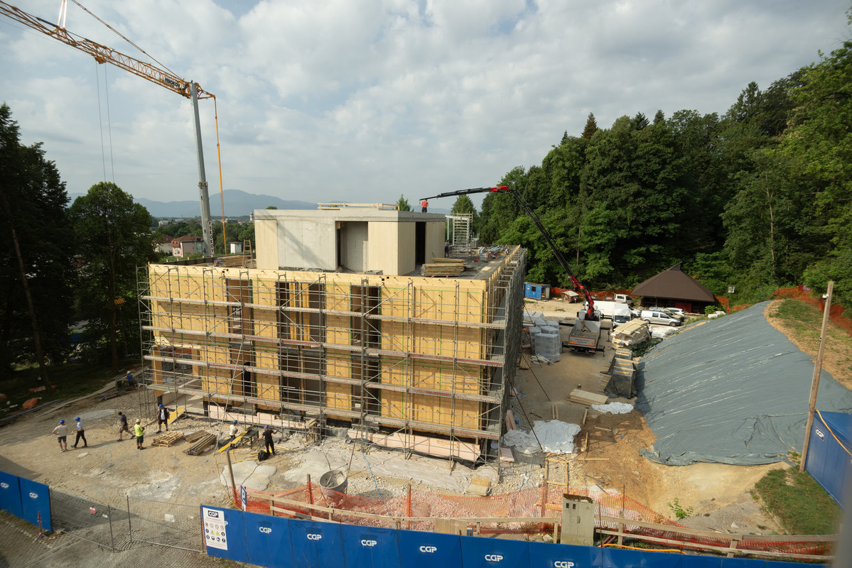 Center za semenarstvo, drevesničarstvo in varstvo gozdov - junij 2025