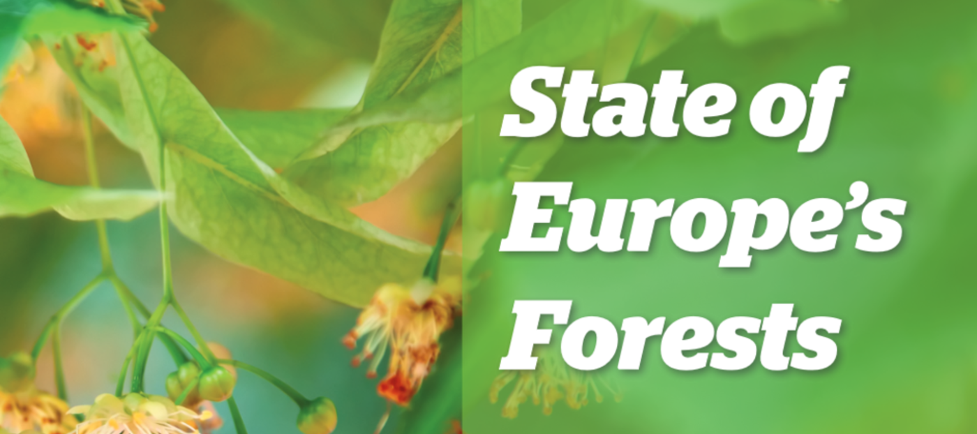The State of Europe’s Forests 2020 (SoEF 2020)