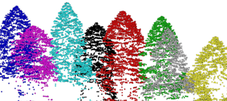 Airborne Laser Scanning in Forestry