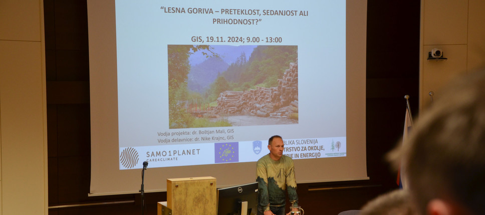 Delavnica o lesnih gorivih: pogled v preteklost, sedanjost in prihodnost