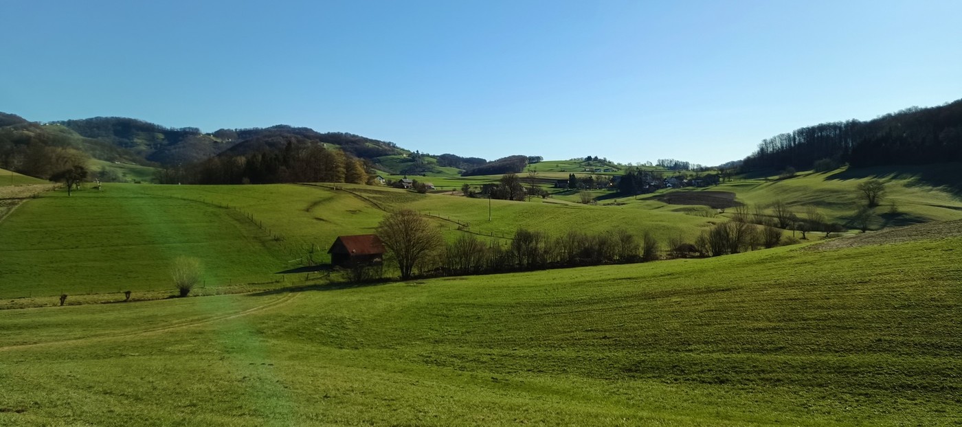 EIP 16.5 MEJICE - Mejice kot podpora biotski raznolikosti, ohranjanju tradicionalnega in izginjajočega kulturnega vzorca slovenskega podeželja ter zagotavljanju ekosistemskih storitev