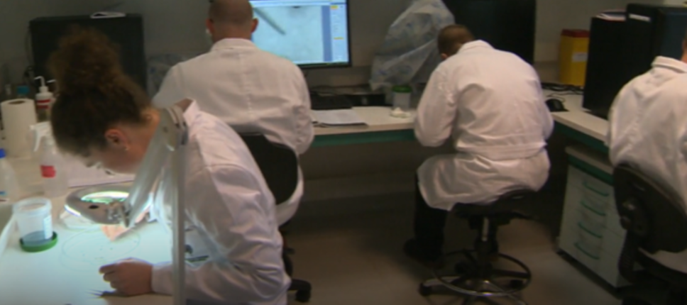 Raziskovalci Laboratorija za varstvo gozdov