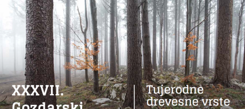 37. Gozdarski študijski dnevi – Tujerodne drevesne vrste v slovenskih gozdovih